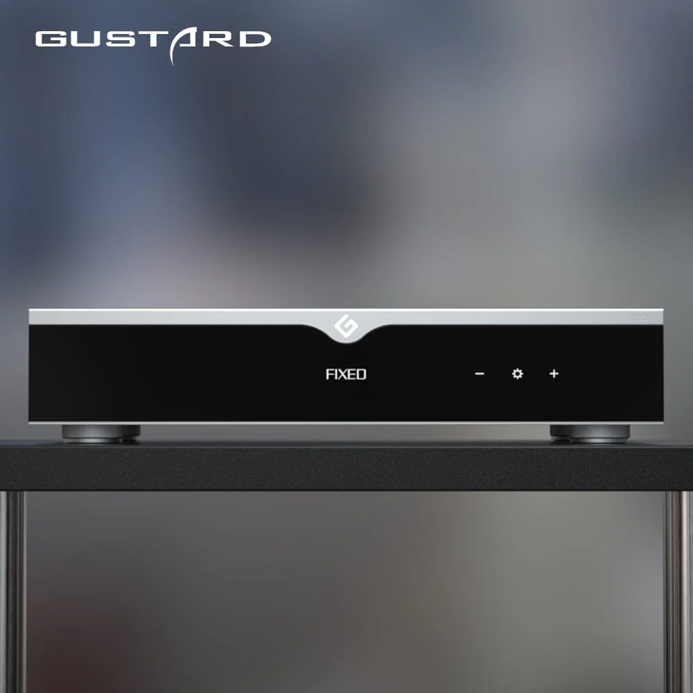 GUSTARD R30 Fully Discrete R2R Streaming DAC - Image 5