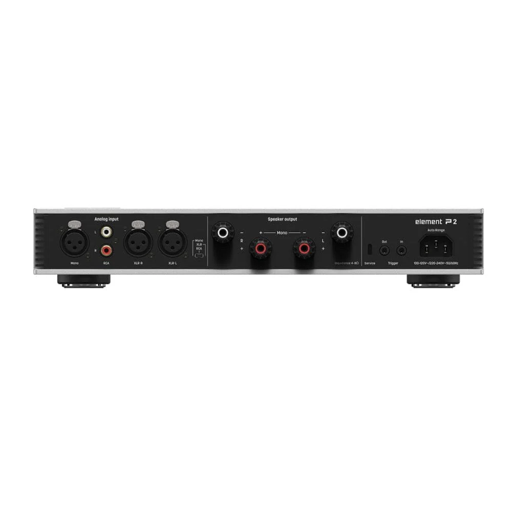 Matrix Element P2 Power Amplifier Class D Amplification Speaker Amplifier - Image 2