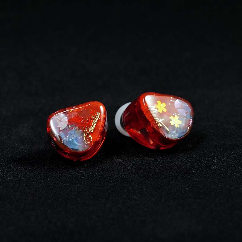 Moritz Paradise Hybrid 8 Drivers In-Ear Monitor - Image 6